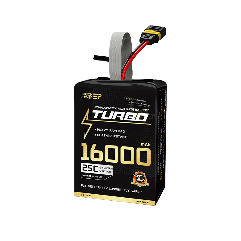 T1_16000_12S