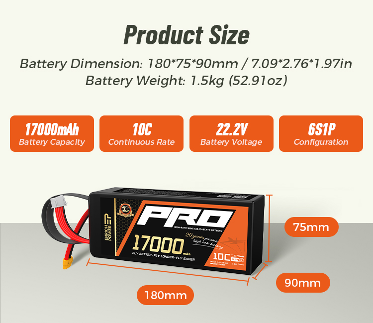 P-17000-6S-2.jpg